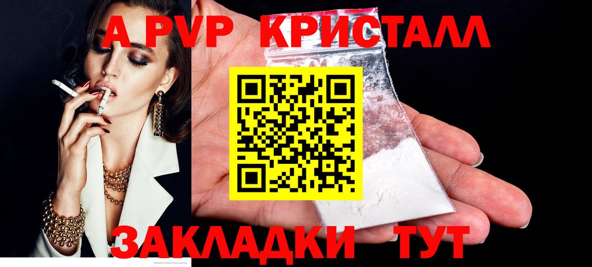A PVP СК КРИС Новодвинск
