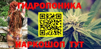 шишки Севастополь