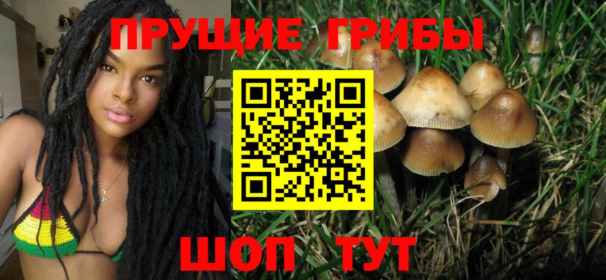 Новодвинск  Галлюциногенные грибы Psilocybe  Вход с VPN 